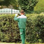 Preventing Pests to Protect Health