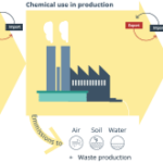 Figure 2. The chemical value chain